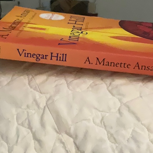 SOLD==Vinegar Hill. A Novel. A. Manette Ansay - Picture 5 of 8